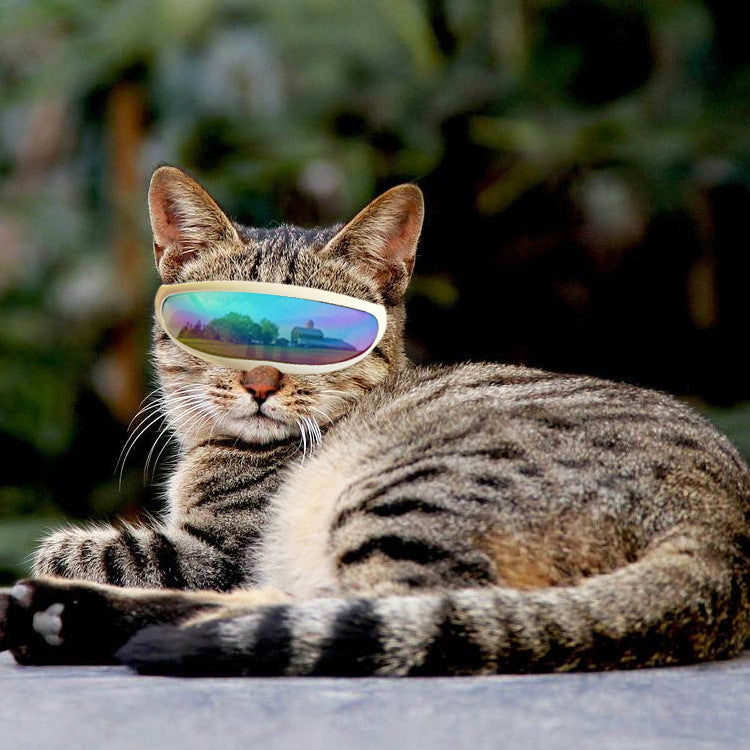 Pet Dog Sunscreen UV Goggles