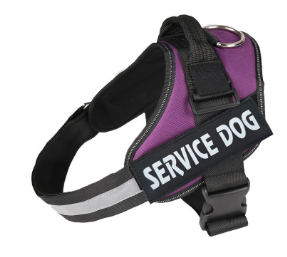 Dog Chest Strap