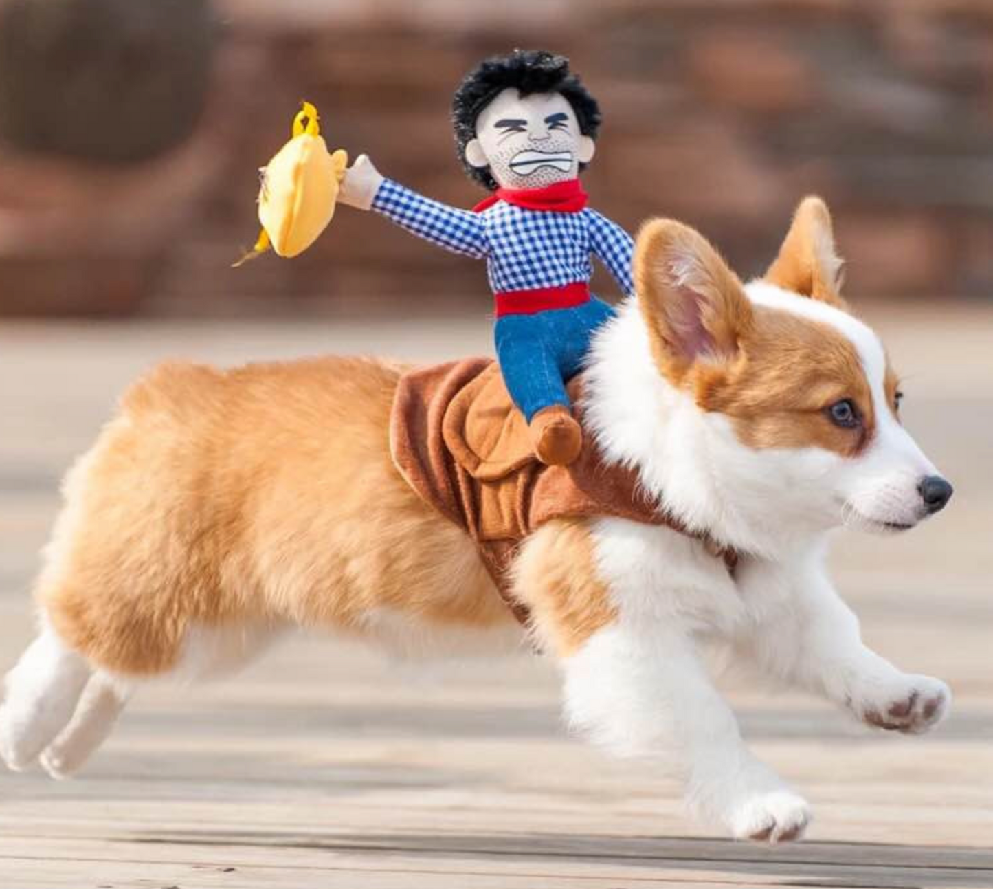 Riding Halloween Dog Cat Cowboy Rider Costume