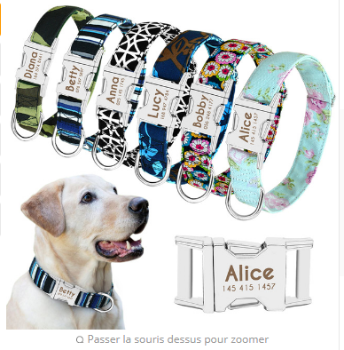 Pet Dog Name Collar | Custom Large Dog Lettering Tag