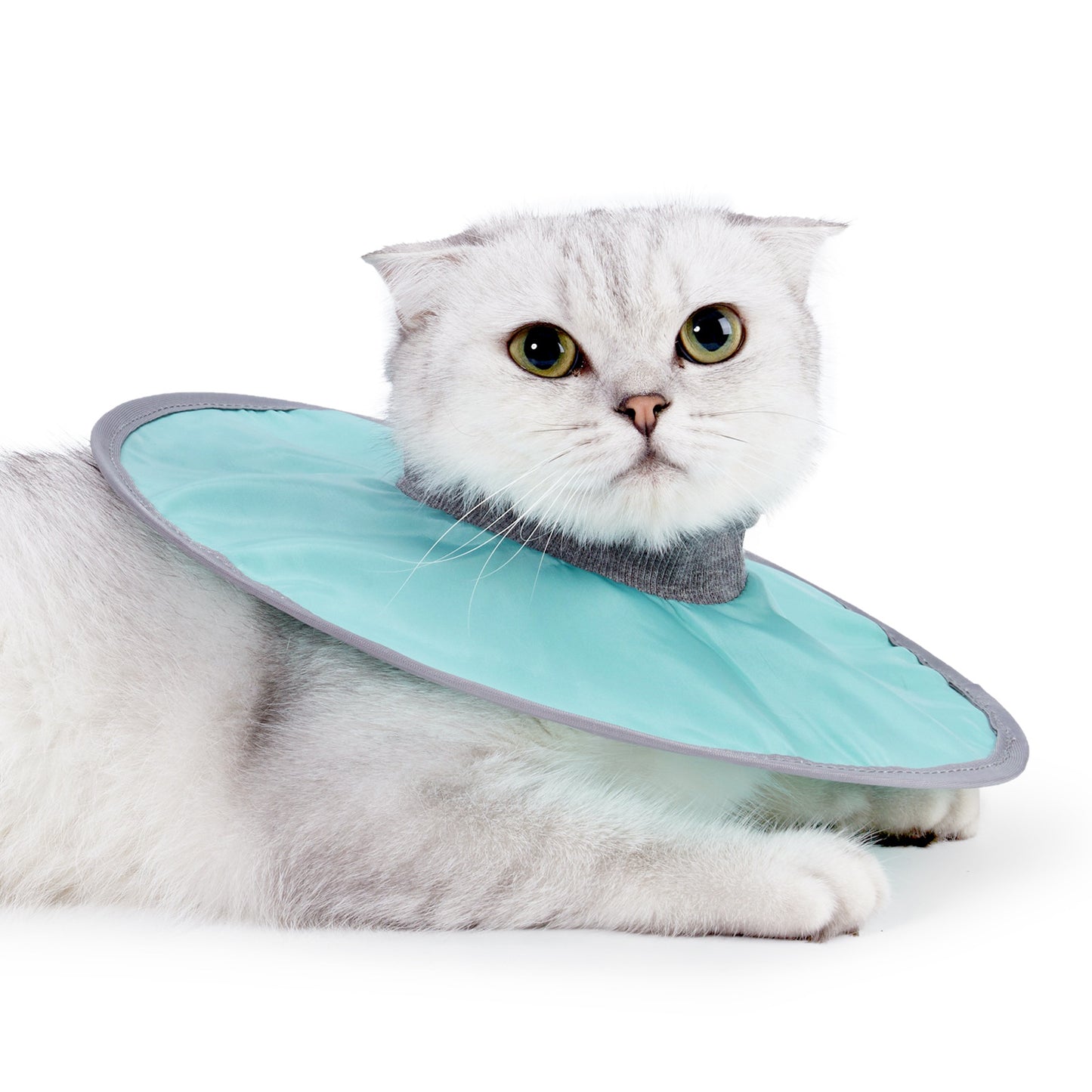 Cat Protective Collar for Neck Recovery after Surgery