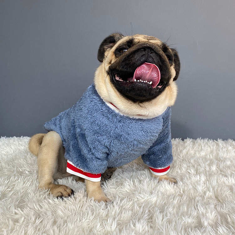 Fluffy Saturday Pet Sweater
