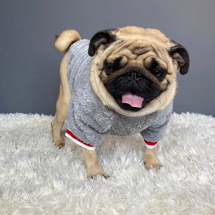 Fluffy Saturday Pet Sweater