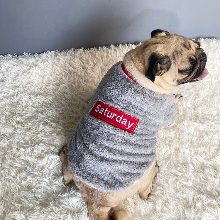 Fluffy Saturday Pet Sweater