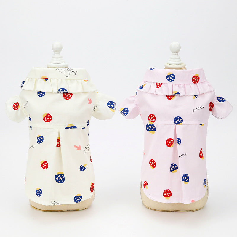 Thin Teddy Dog Cat Clothes for Spring