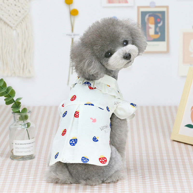 Thin Teddy Dog Cat Clothes for Spring