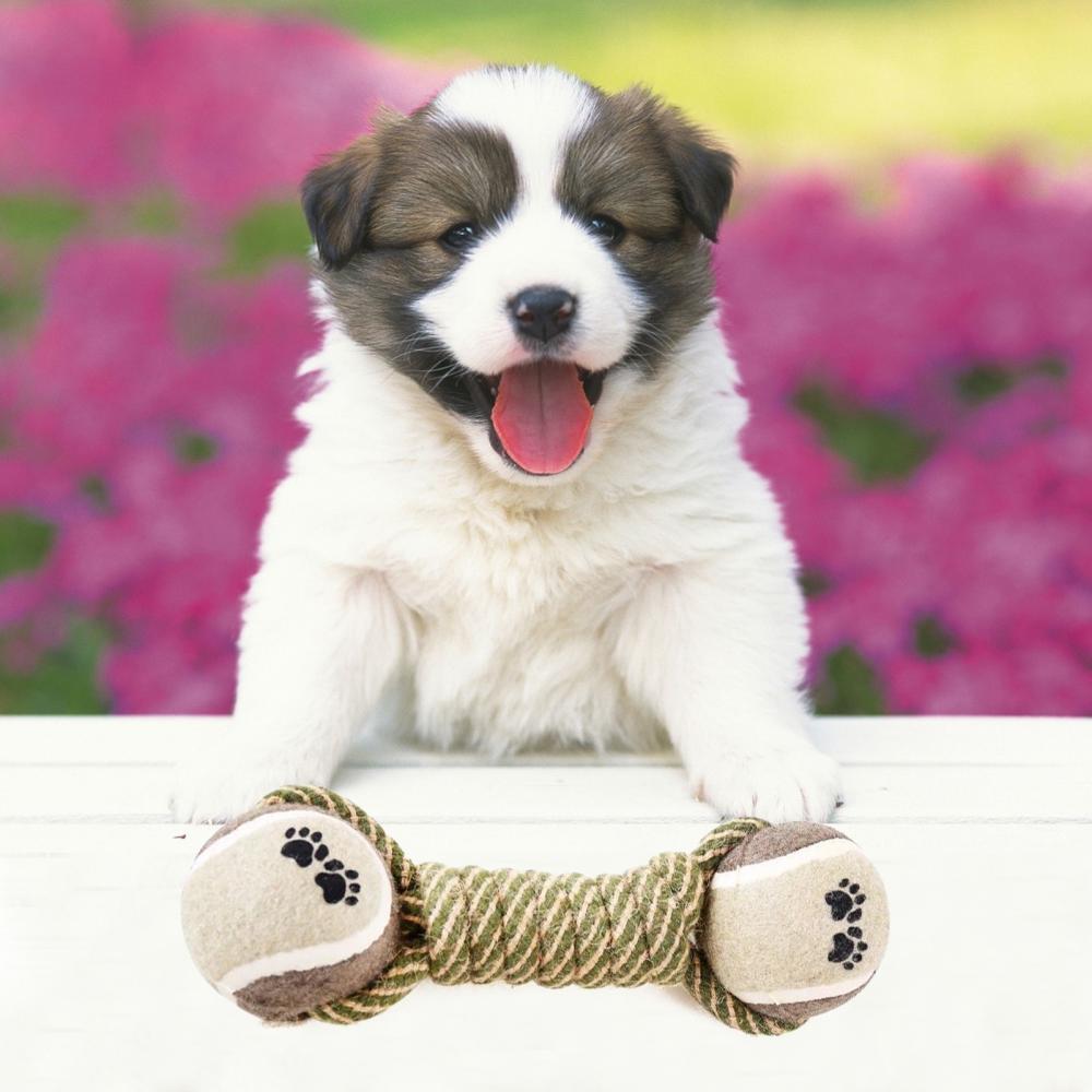 Interactive Cotton Rope Mini Dog Toys Ball