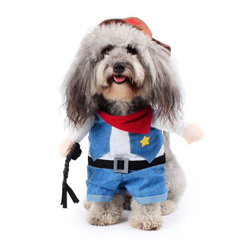 Funny And Colorful Pet Clothes