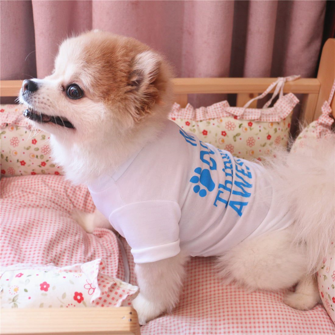 Summer I'm Awesome Printed Half Sleeves Tee shirts for Small Dogs