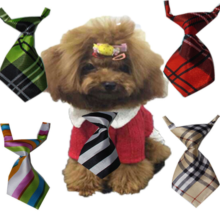 Lovely 50 pieces necktie collars for dogs and cats
