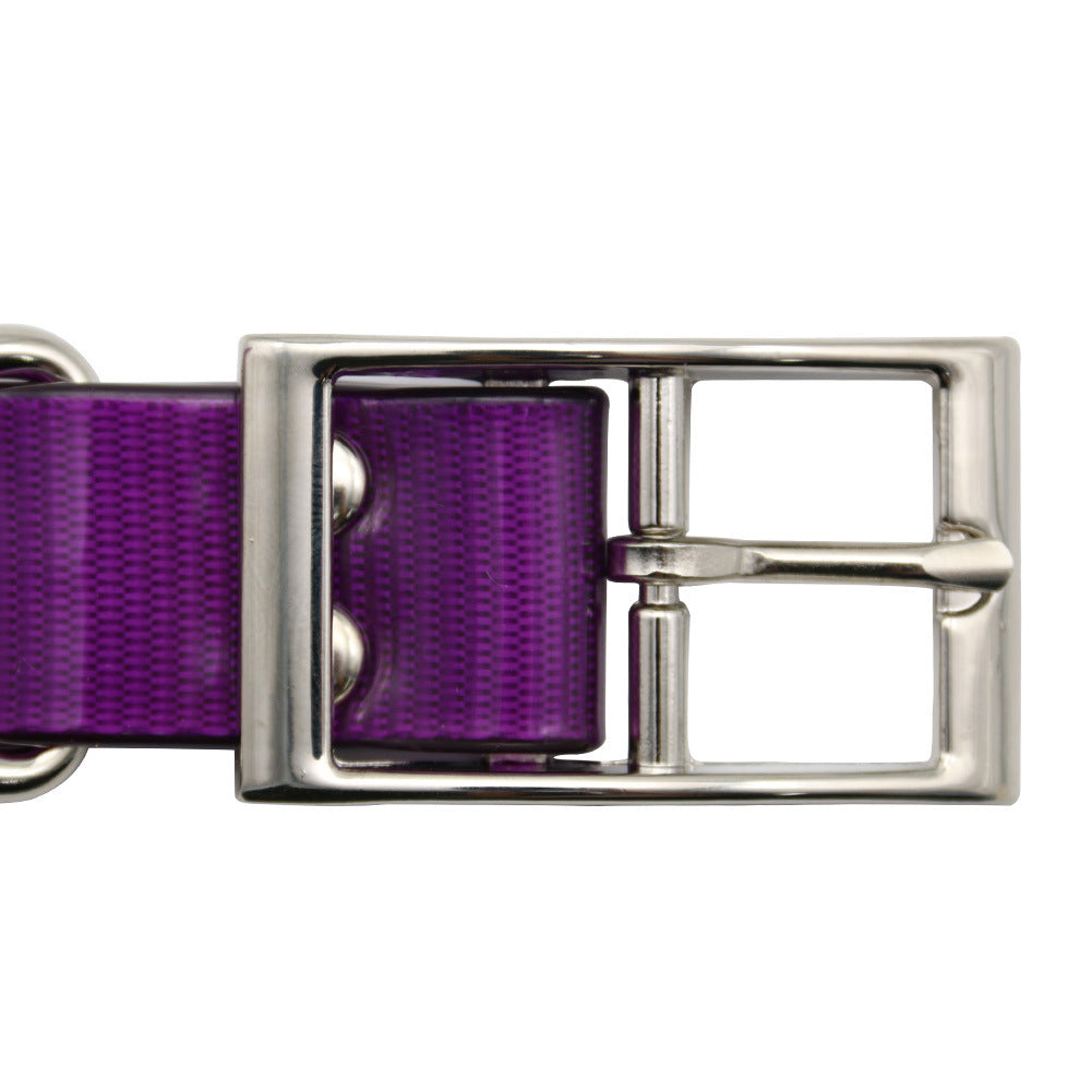 Dirty-resistant Pet Collars