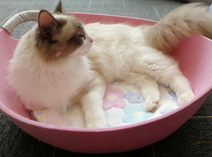Pet Perch Cat Scratcher And Bed House
