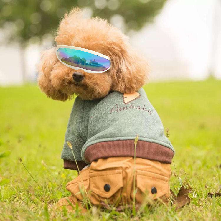 Pet Dog Sunscreen UV Goggles