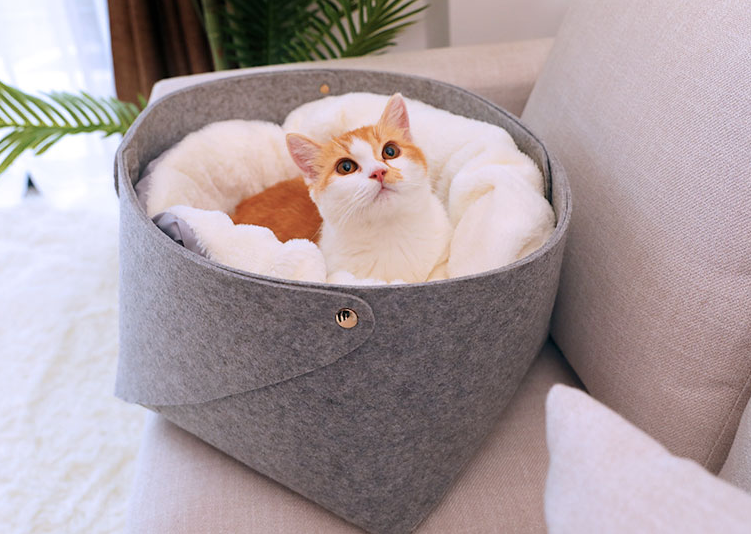 Spacious and Comfortable Cozy Cat Nest