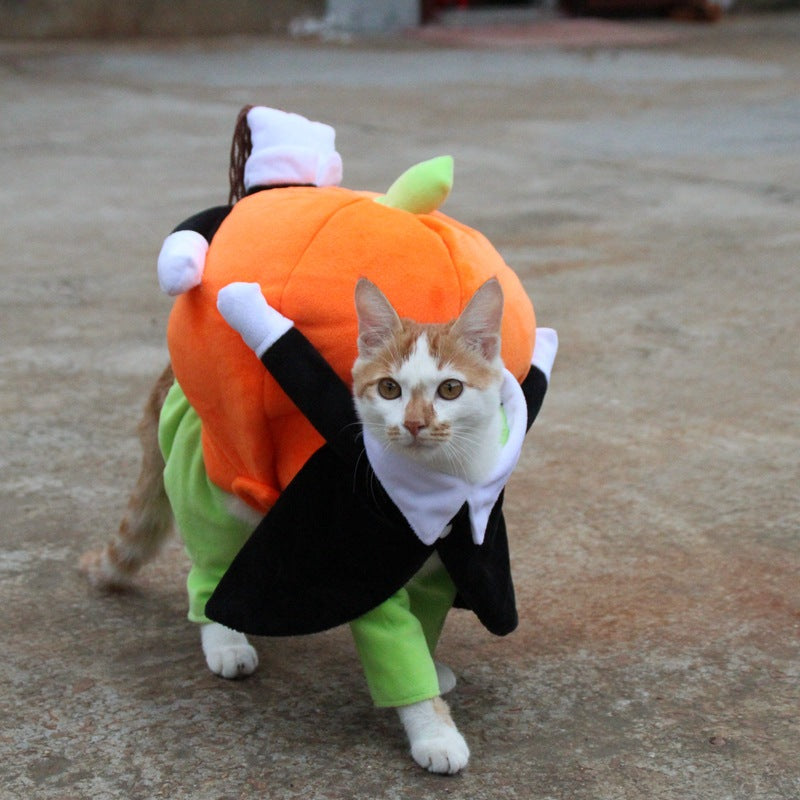 Halloween Pumpkin Dog Clothes