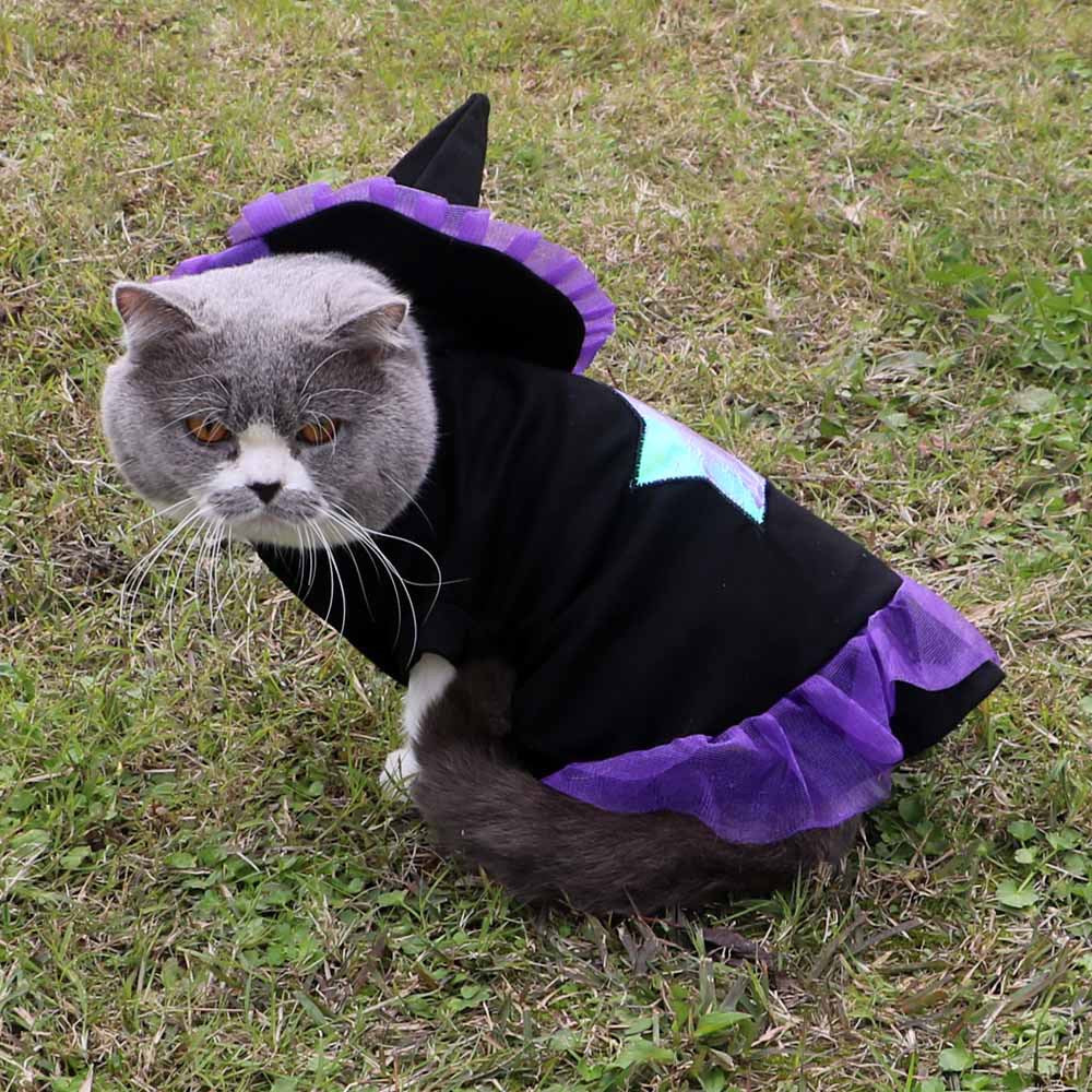 Christmas Wizard Halloween Cat Clothes