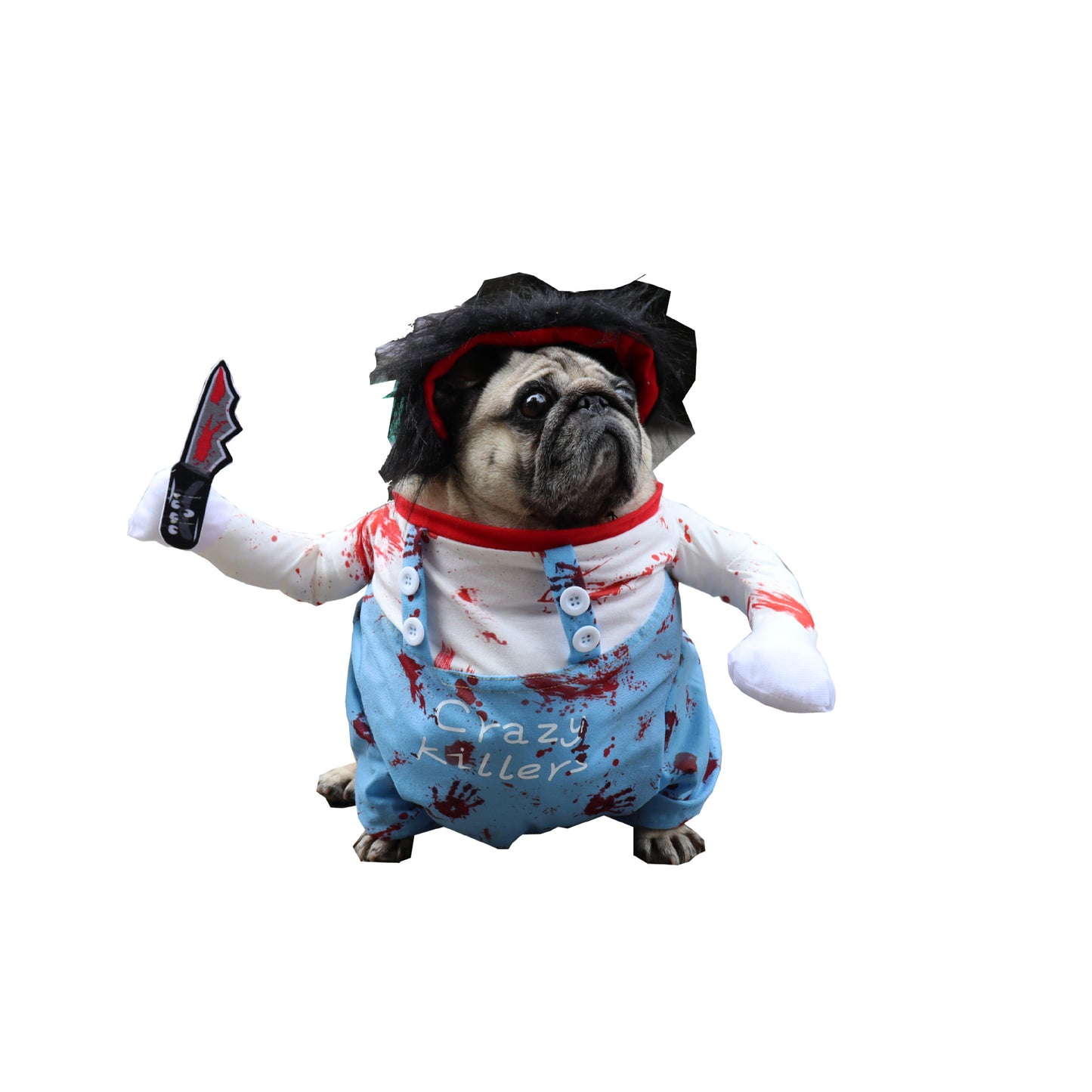 Halloween Funny Pet Costume