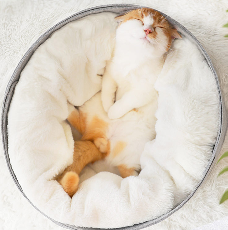 Spacious and Comfortable Cozy Cat Nest