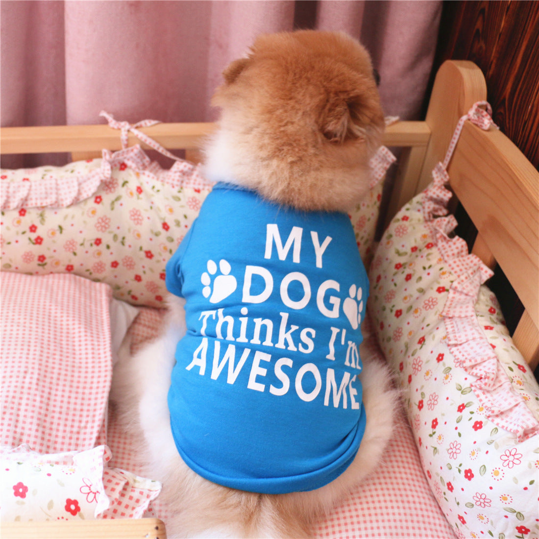 Summer I'm Awesome Printed Half Sleeves Tee shirts for Small Dogs