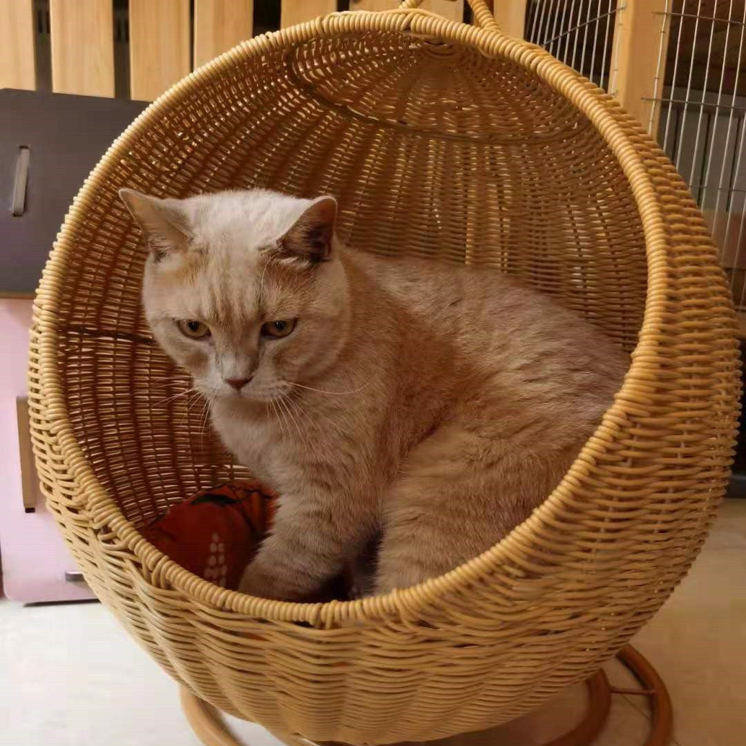 Breathable Cat Cradle And Mattress