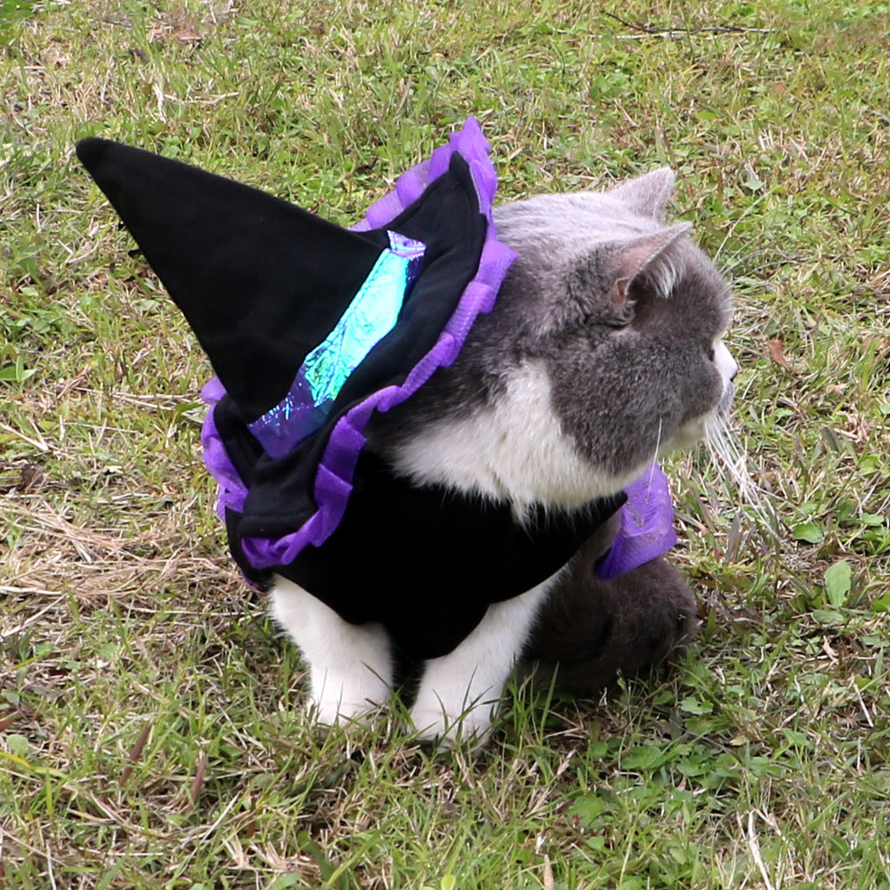 Christmas Wizard Halloween Cat Clothes