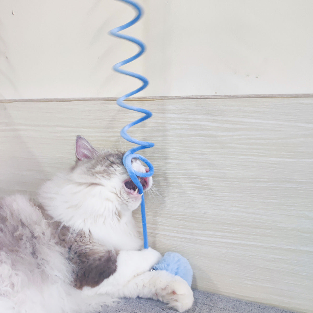 Cat Self-Hi Sucker Interactive Play Toys
