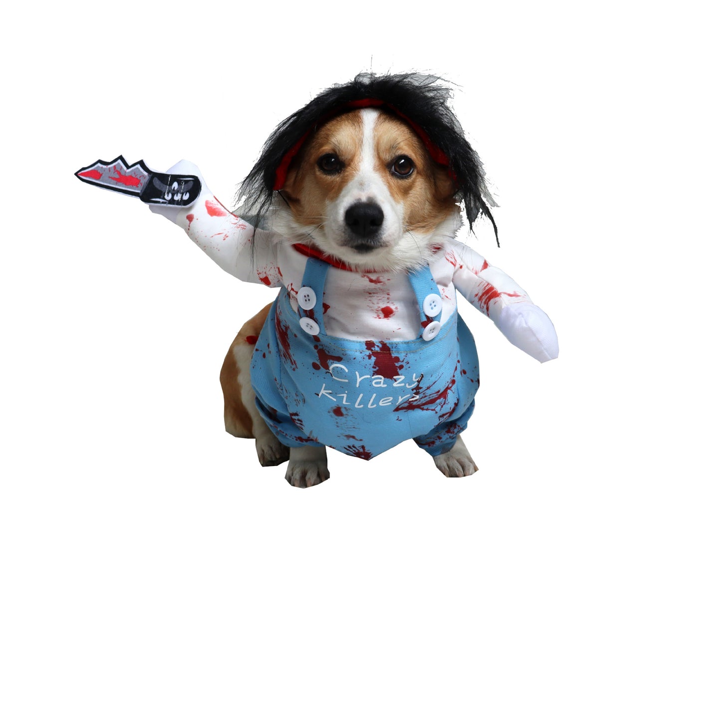 Halloween Funny Pet Costume