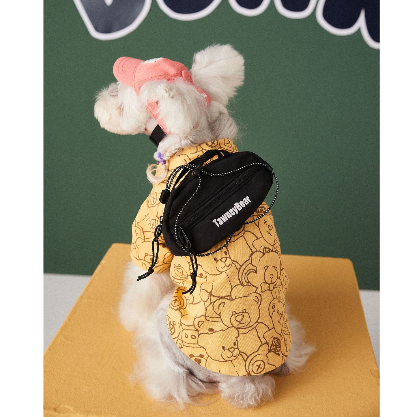 Pet adjustable self backpack with Strap that can hold items
