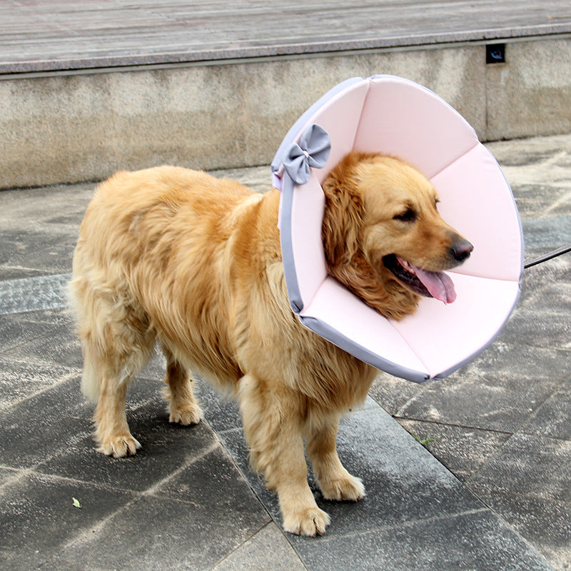 Pet Recovery Cone For Dogs After Surgery