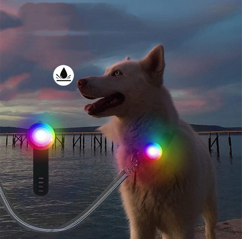 Pet Watch Strap Pendant To Prevent Loss At Night