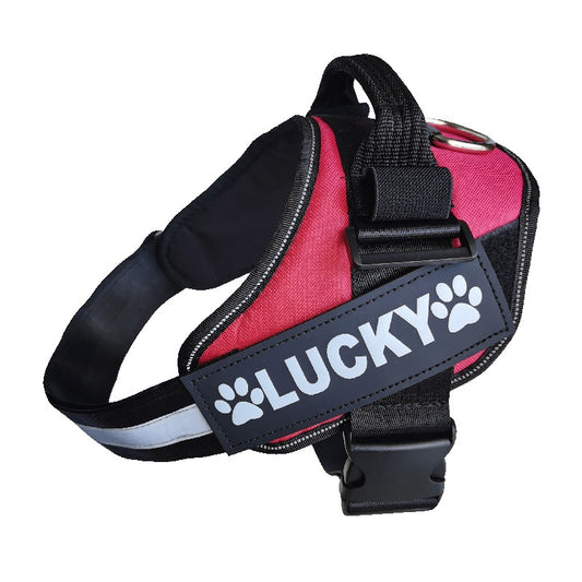 Pet Dog Chest Strap Sign DIY