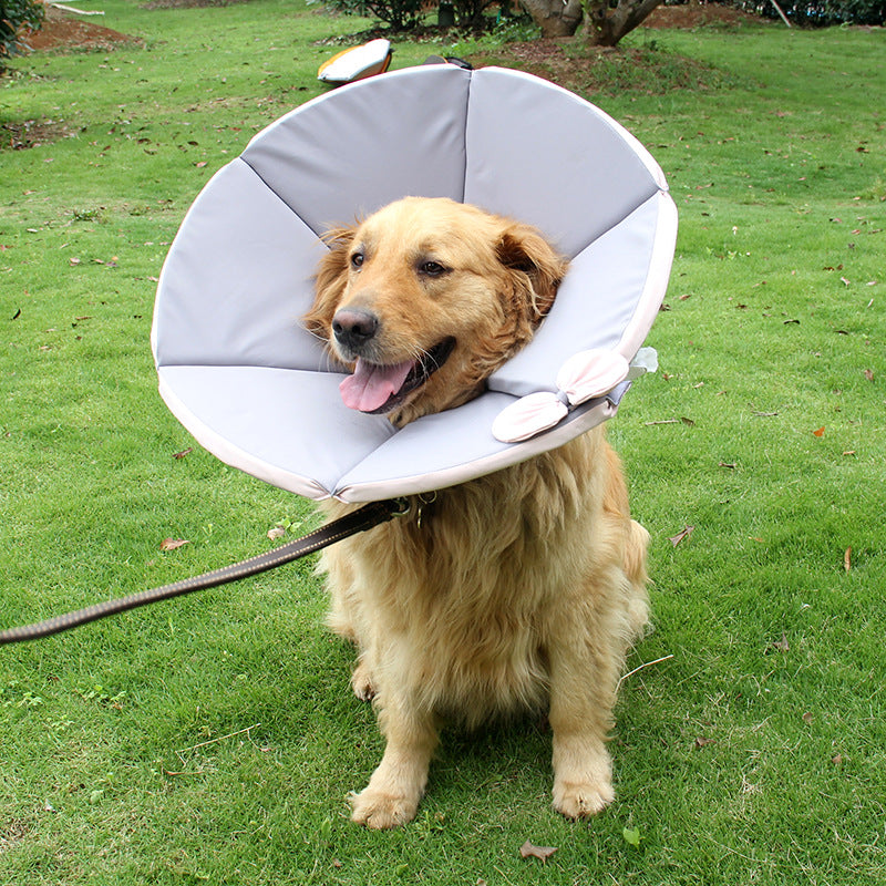 Pet Recovery  Cone For Dogs After Surgery