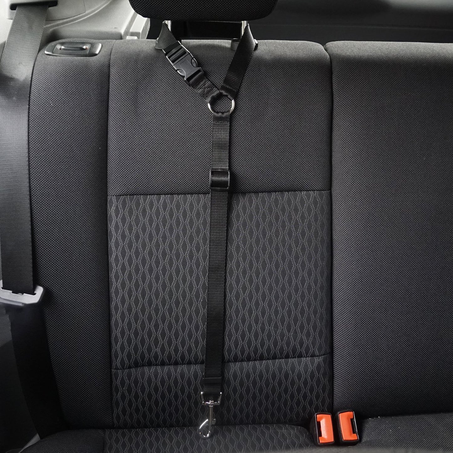 Pet safety car seat belt and leash