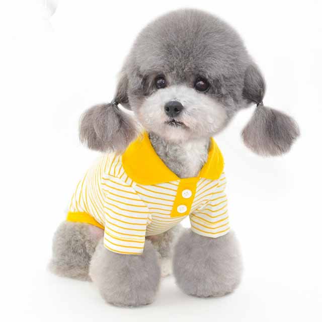 Color Striped Polo T-shirt For Pet Dog Cat