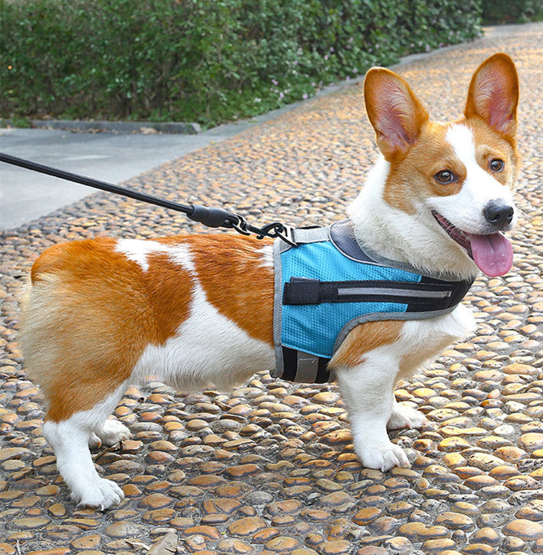 Pet Dog K-shaped Soft Padded Luminous Harness Leash