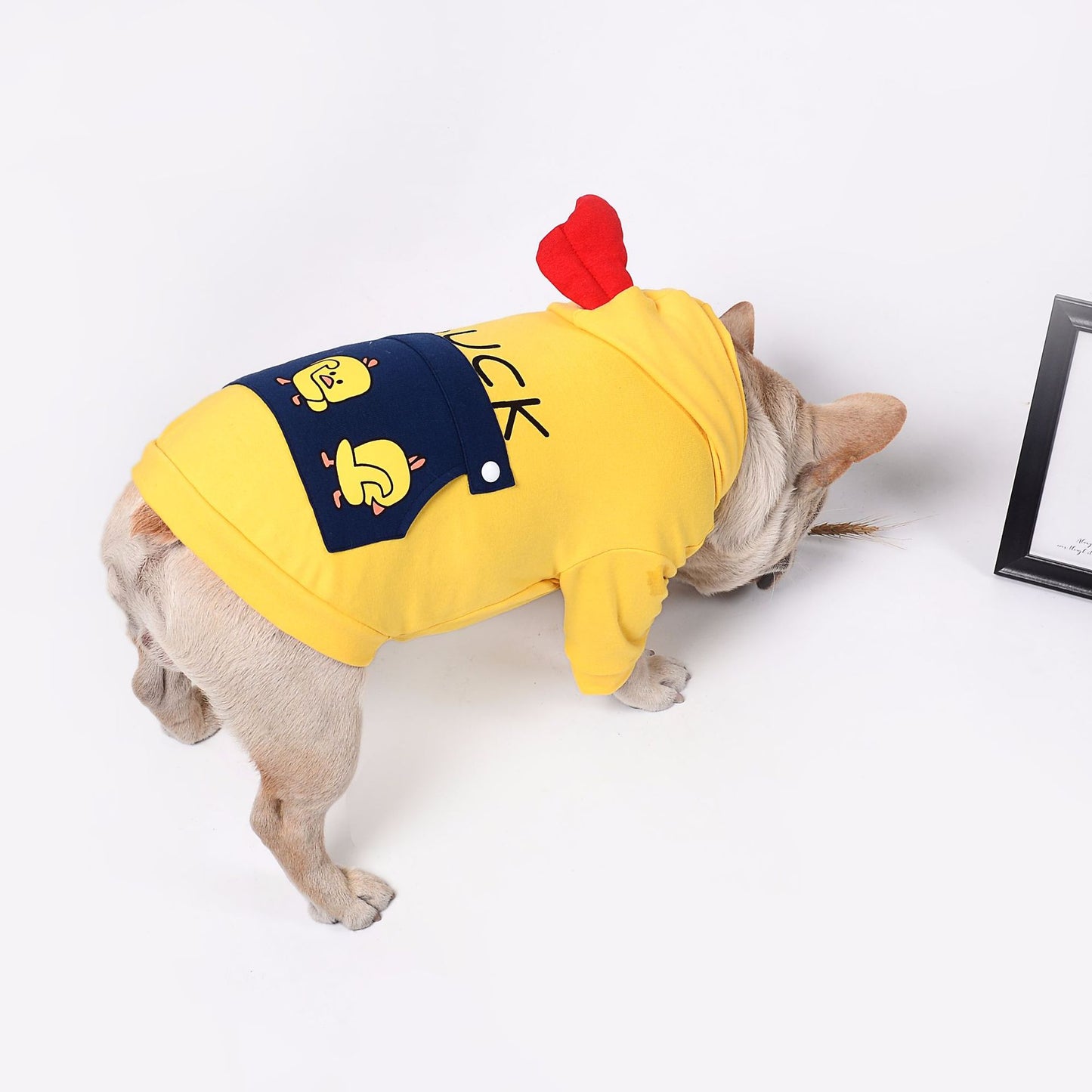 Yellow Duck Dog Hoodie for Bulldogs | Cute Dogs Clothes