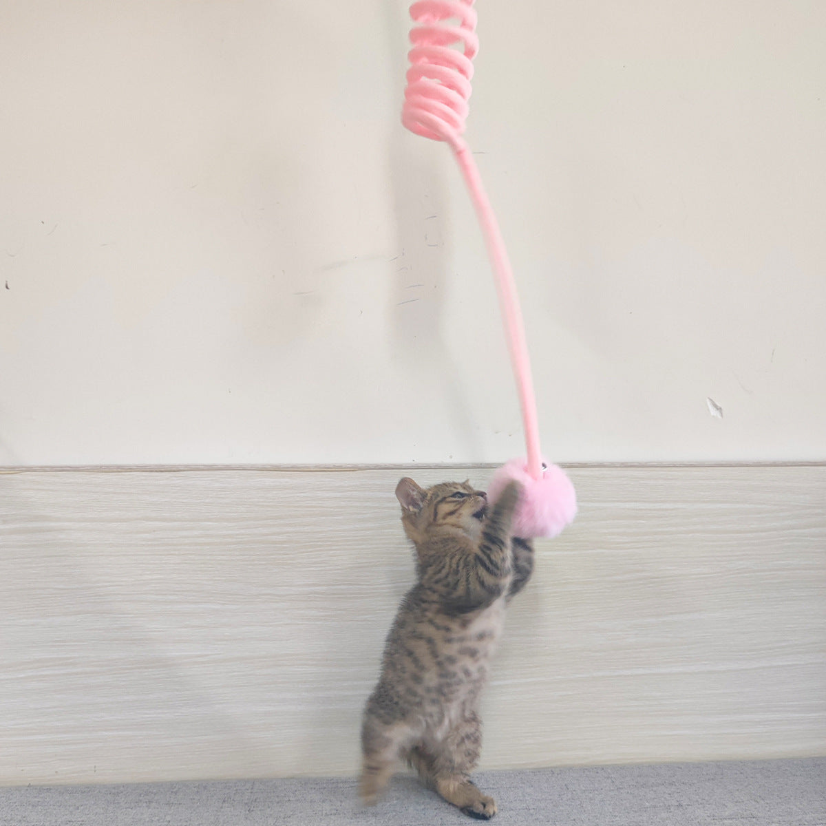Cat Self-Hi Sucker Interactive Play Toys