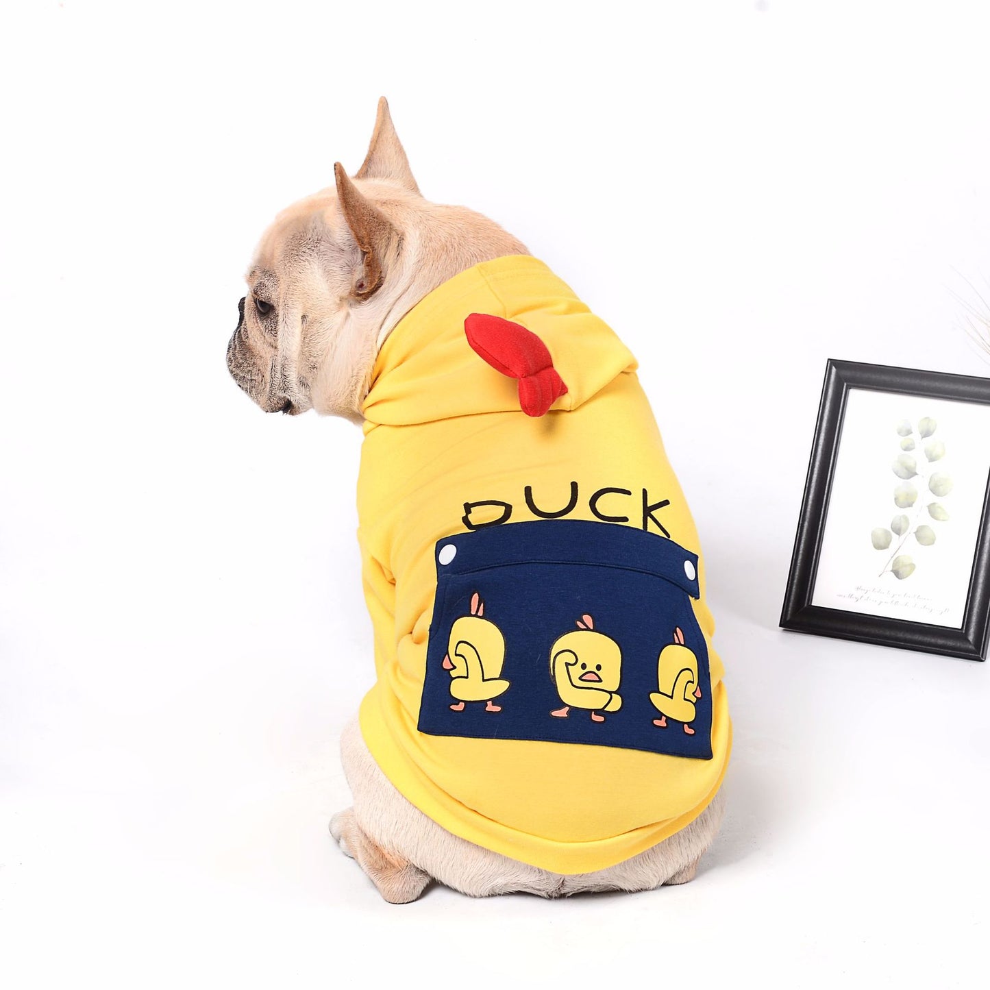 Yellow Duck Dog Hoodie for Bulldogs | Cute Dogs Clothes