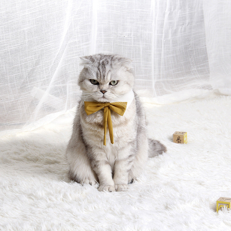 Cute Cat Collar With Bow Tie