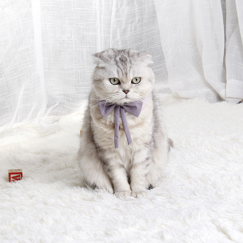 Cute Cat Collar With Bow Tie