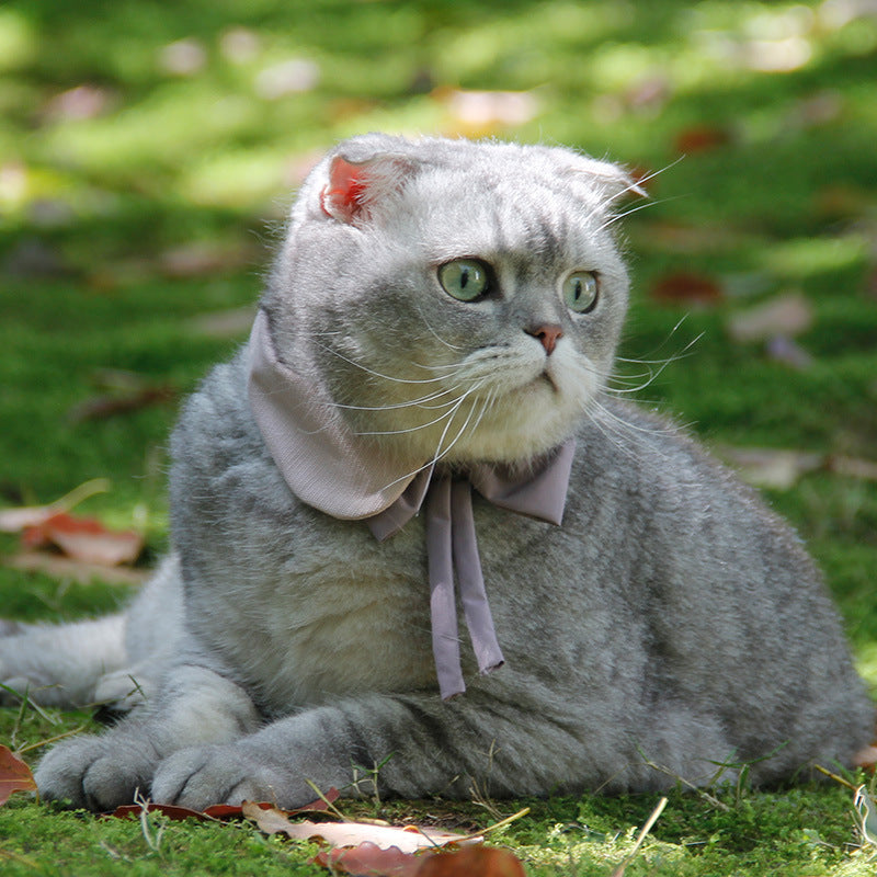 Cute Cat Collar With Bow Tie