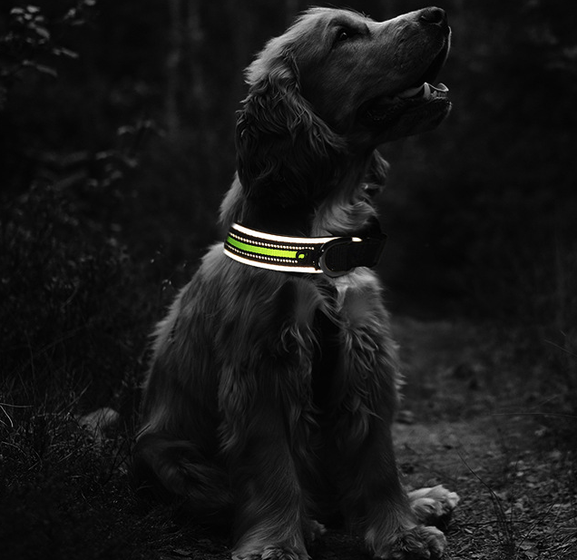 Pets Thicken And Comfortable Luminous Neoprene Reflective Dog Cat Collars