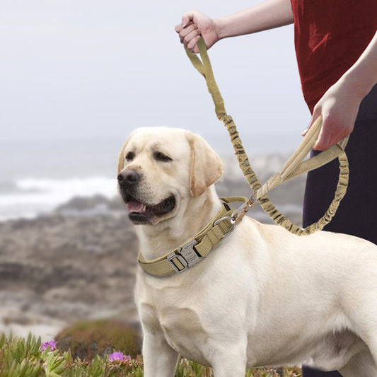 Nylon Dog Collars For Large And Medium-sized Dogs