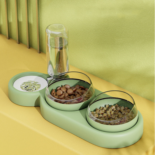 Pet Automatic Feeder Food Bowl With Water Fountain