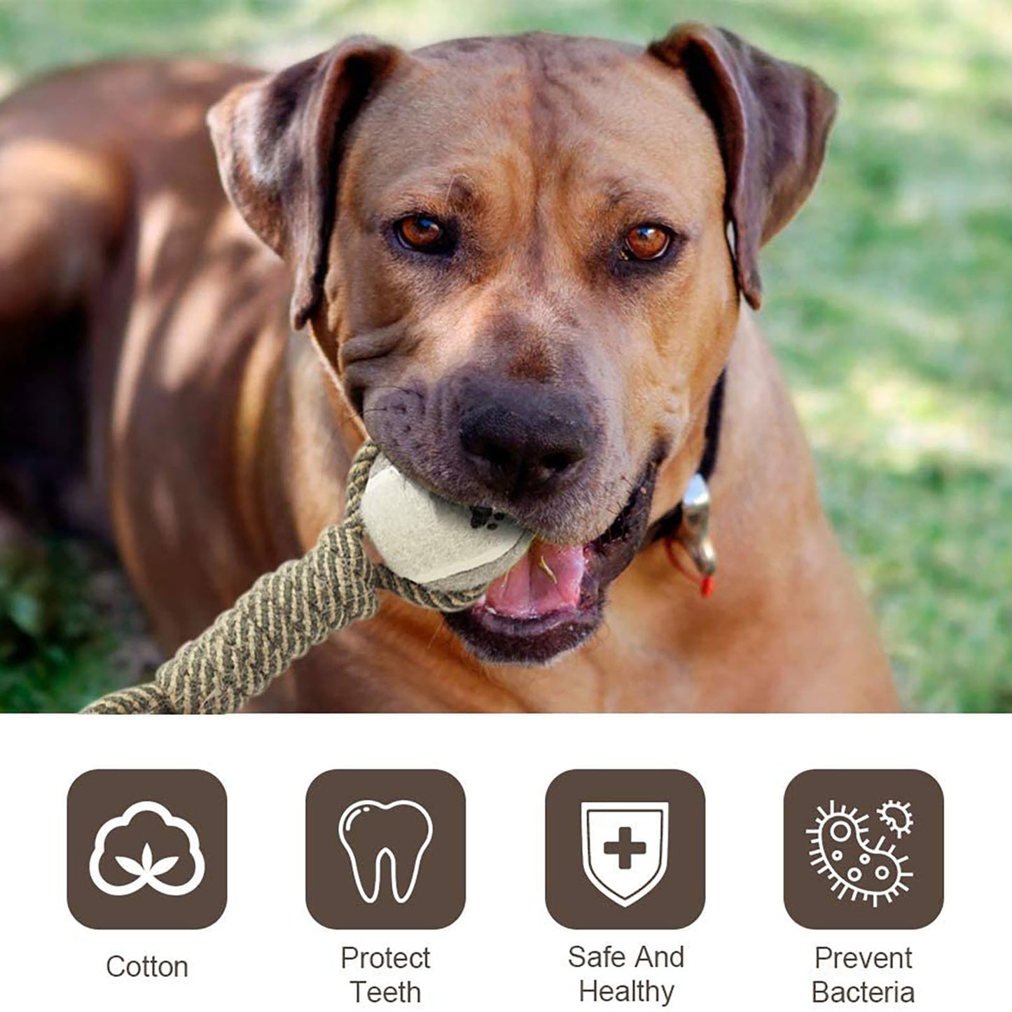 Interactive Cotton Rope Mini Dog Toys Ball