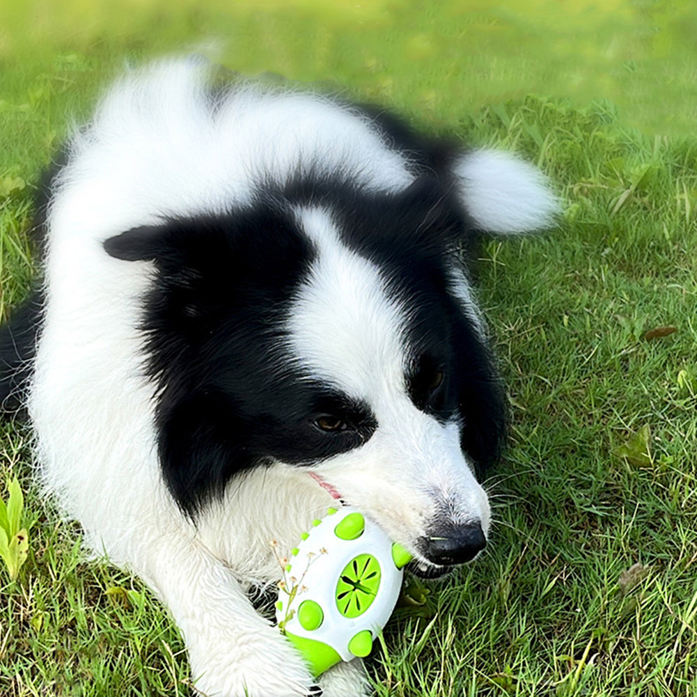 Hedgehog Shape Multi-Function Dog Molar Toy | Tooth Cleaning Toy