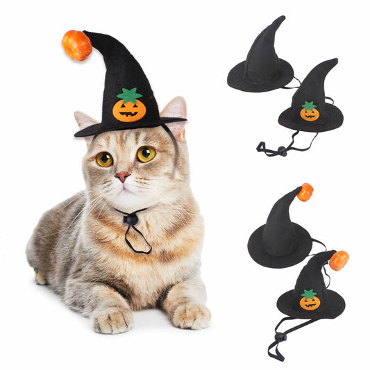 Cat Halloween Hat with Pumpkin Smiling Face