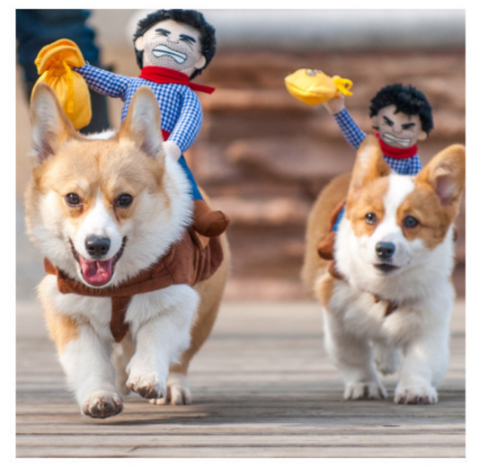 Riding Halloween Dog Cat Cowboy Rider Costume