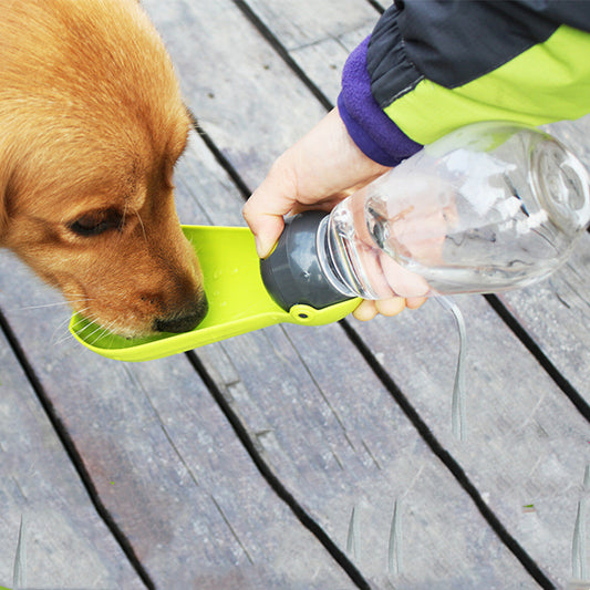 Folding Personal Dog Drinking Kettle