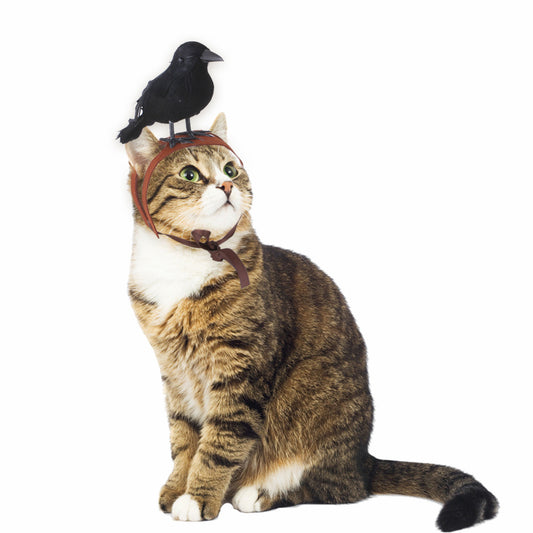 Raven Funny Decoration Cat Headgear